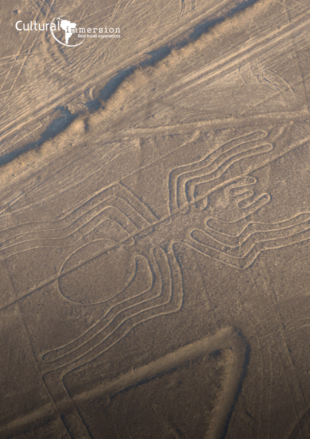 From The Nazca Lines To Machu Picchu