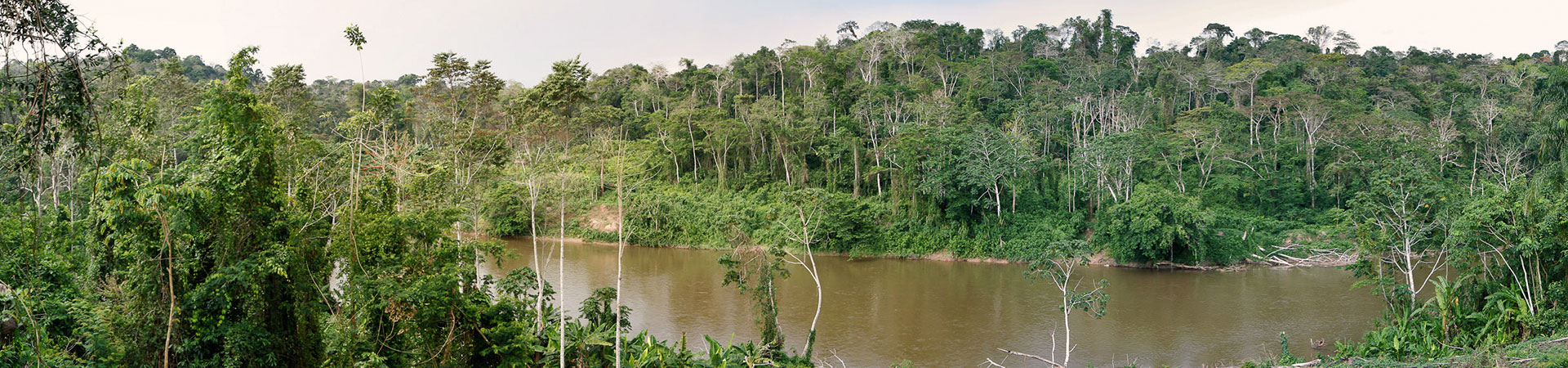 Posada Amazonas 4D/3N