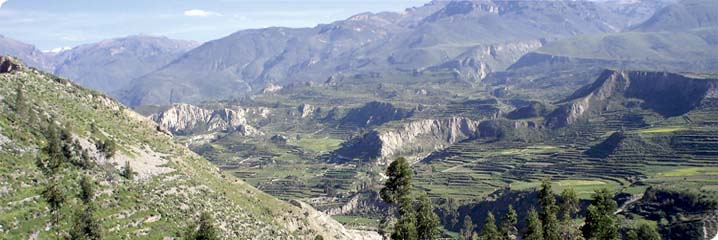 Colca Canyon (From Arequipa To Puno) - Private