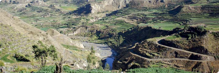 Colca Canyon (From Arequipa To Arequipa) - Shared