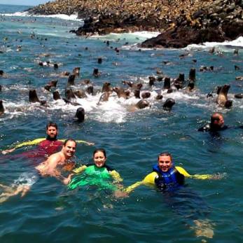Palomino Island  And Swimming With Sea Lions