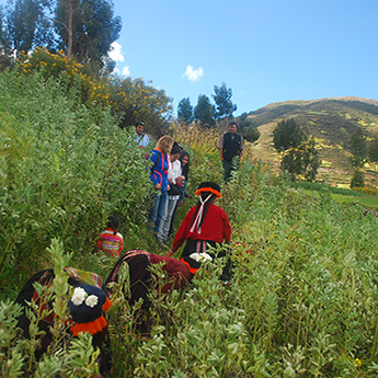 Community Based Trekking From Cusco To Machu Picchu